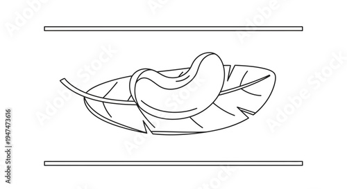 Cashew Nut on Leaf Outline Drawing