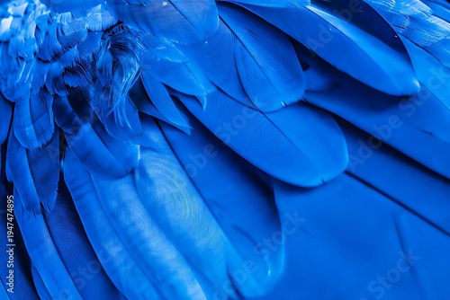 Macro close‑up of layered blue feathers filling the frame, showcasing delicate texture, smooth curves, and soothing monochromatic tones that create an elegant, abstract.