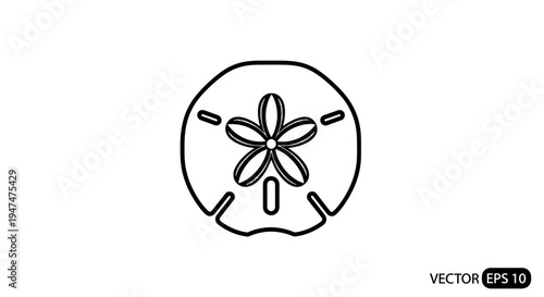 Sand Dollar Outline Icon Vector Illustration