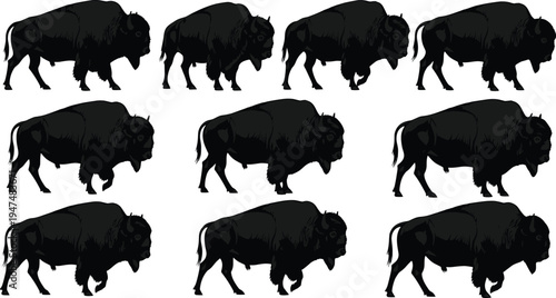 American bison buffalo silhouette set, wild prairie animal walking and standing poses, nature wildlife, cad drawing flat vector illustration, isolated.