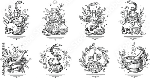 Vintage alchemy snake and potion illustration collection with skull herbs cauldron and mystical occult symbols in engraved tattoo style