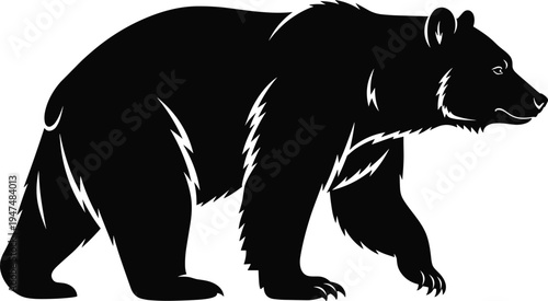 Black and white bear silhouette vector of grizzly bear walking isolated on white background for wildlife logo design and branding.