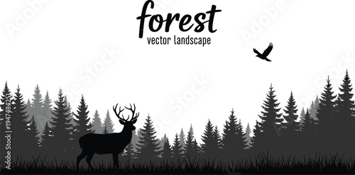 Black and white forest vector landscape with silhouette of deer with antlers, flying bird, pine trees, and grass, nature background.