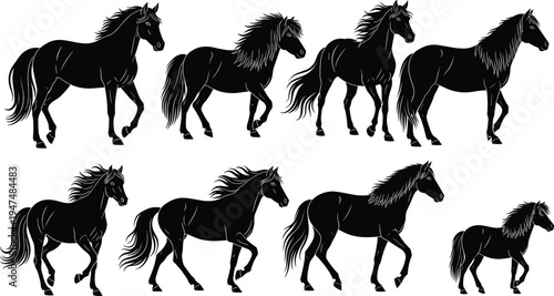 Black horse silhouette collection of walking stallions and ponies in various elegant poses set, cad drawing flat vector illustration, isolated on white.