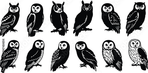 Black owl bird silhouette collection of nocturnal birds of prey in various perched poses set, cad drawing flat vector illustration, isolated on white.