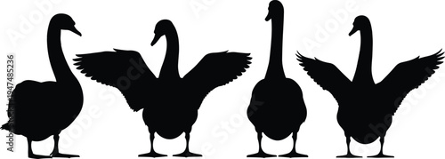 Black, swan, silhouettes, set, bird, wildlife, collection, waterfowl, nature, goose, wings, spreading, isolated, white, background, vector, graceful, pond, animal, icons (20 words)
