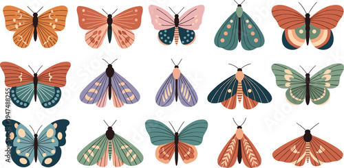 Colorful butterfly and moth collection with detailed wings nature insects decorative wildlife flat vector illustration set