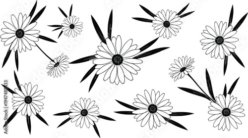 Daisy flower outline set, chamomile floral sketches with black leaves, botanical line art collection, cad drawing flat vector illustration, isolated.