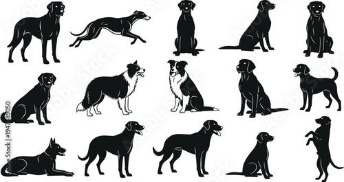 Dog silhouette collection of various breeds like labrador retriever collie and greyhound set, cad drawing flat vector illustration, isolated on white.
