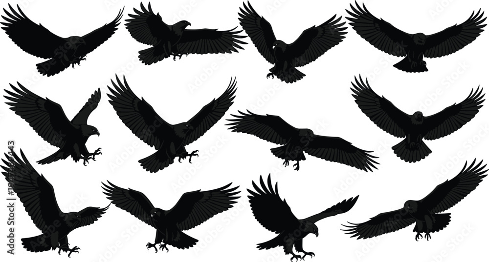 Obraz premium Eagle silhouette vector set, flying hawk collection, black predatory bird icons, soaring falcon shapes, isolated wildlife graphics on white background.