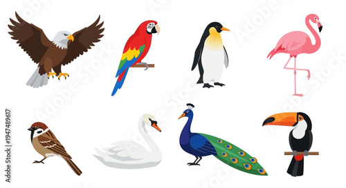 Vector Illustration Set of Diverse Birds Including Bald Eagle, Macaw Parrot, Emperor Penguin, Pink Flamingo, Sparrow, Mute Swan, Indian Peacock, and Toucan Icon.