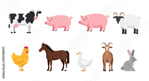 Flat Vector Illustration of Farm Animals Collection Including Cow Pig Sheep Chicken Horse Duck Goat and Rabbit Isolated on White Background for Graphic Design.