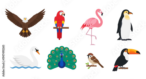Colorful flat bird icon set featuring eagle, macaw, flamingo, penguin, swan, peacock, sparrow, and toucan isolated on white background for vector design projects.