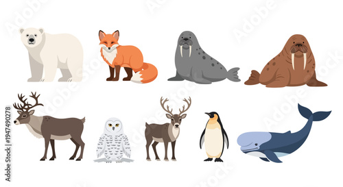 Cute arctic animals vector illustration set featuring polar bear, red fox, seal, walrus, reindeer, snowy owl, penguin, and whale on isolated white background.