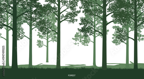 Green forest trees landscape isolated on white background, cad drawing flat vector illustration of woodland nature scenery and outdoor environment.