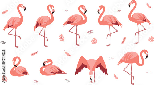 Flamingo Bird Vector Illustration Set Showing Elegant Pink Tropical Birds in Standing, Walking, Flying, and Resting Poses for Exotic Wildlife and Summer Nature Designs.