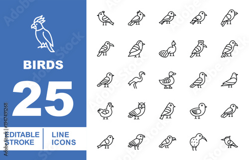 Birds, Poultry, and Avian Species Line Icons. Editable stroke icons for ornithology and farming. Featuring Kiwi birds, flamingos, ducks, chickens, owls, pigeons, and tropical parrots for app UI design