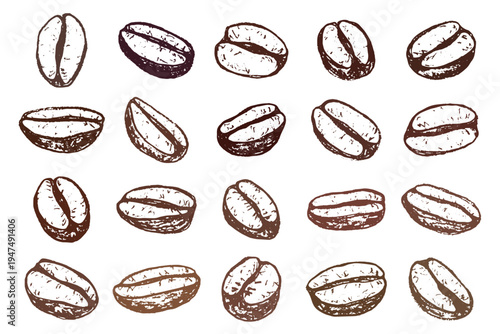 Set of hand drawn fresh roasted coffee bean Arabica robusta seed doodle Single element for design print packaging label decor