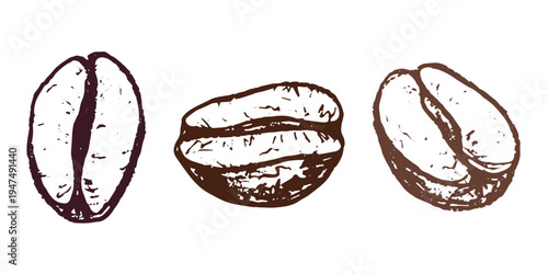 Set of hand drawn fresh roasted coffee bean Arabica robusta seed doodle Single element for design print packaging label decor
