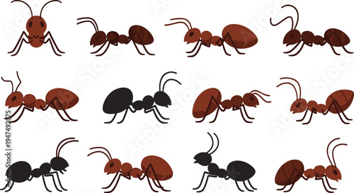 Ant Vector Illustration Set Featuring Different Worker Ant Poses and Species for Insect Collection Graphics, Nature Biology Education, Pest Control Concepts, and Wildlife Design.