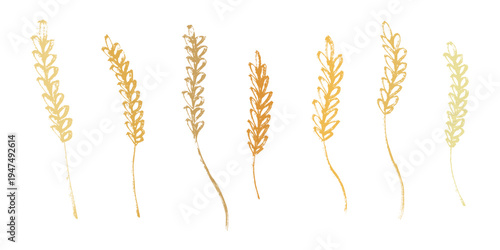 Set of hand drawn cereal wheat oat rye barley rice ears spikelet clipart Organic wheat bread agriculture farming harvest healthy food Single element for design print packaging label decor