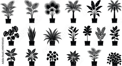 Set Of Houseplant Silhouettes Featuring Potted Tropical Palms Monstera Ferns And Indoor Plants Isolated On White Background For Interior Design