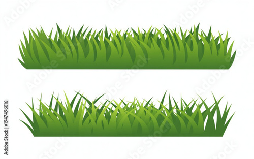 Vibrant green grass blades on white background for design illustration or graphic projects