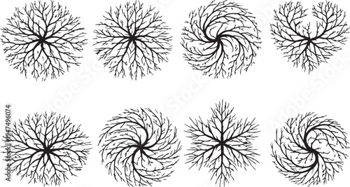 Minimal radial tree branch vector set, abstract circular nature fractal line icons collection