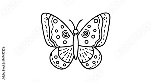 Colorful Butterfly Insect Wing Drawing.