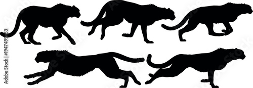 Dynamic Cheetah Silhouettes Set: Running, Walking, and Sprinting Wild Cat Vector Illustration