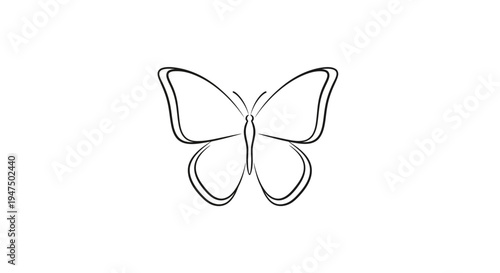 Butterfly outline drawing insect wings.