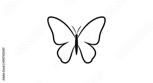 Butterfly outline drawing insect wings.