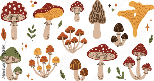 Forest Mushroom Vector Collection with Toadstools Chanterelle Morel Wild Fungi Hand Drawn Nature Botanical Illustration Set