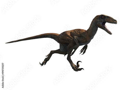 Deinonychus velociraptor dinosaur 3d render