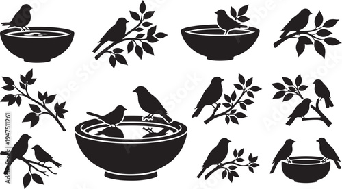 Black Silhouette Birds and Branches with Water Bowl Set