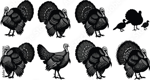 Black and white vector illustration set of farm goat silhouettes in various standing and walking poses, domestic livestock animal collection, mountain goat (24 words)