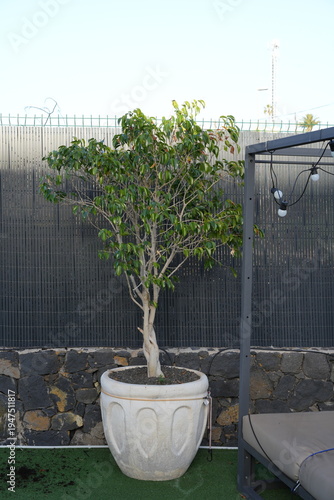 Ferienhaus in Spanien