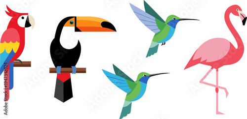 Vibrant Tropical Birds Collection Featuring Parrot, Toucan, Hummingbird, and Flamingo with Bold Colors for Nature and Wildlife Illustrations