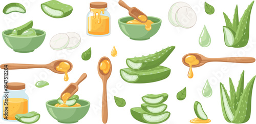 Aloe Vera and Honey Collection Featuring Fresh Slices, Gel, and Natural Ingredients for Skincare and Health Illustrations