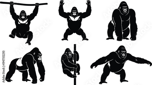 Black and white vector illustration set of powerful gorilla silhouettes in various poses including climbing, standing, and hanging, jungle wildlife primate collection (24 words)