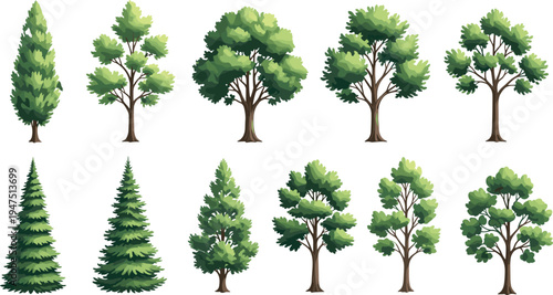 Flat vector illustration collection of various green forest trees including pine spruce and deciduous species, nature plant icons set isolated on white background