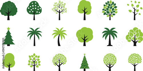 Flat vector illustration collection of various green trees including palm pine and deciduous species, nature plant icons set isolated on white background for design