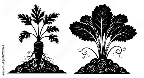Contrasting botanical illustrations of root systems and leaf canopies in black and white art style Vector, illustration