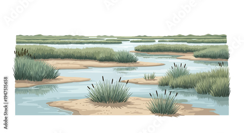 Illustration of a serene wetland ecosystem with winding waterways, sandy patches, and lush greenery on World Wetlands Day, highlighting wetland conservation.