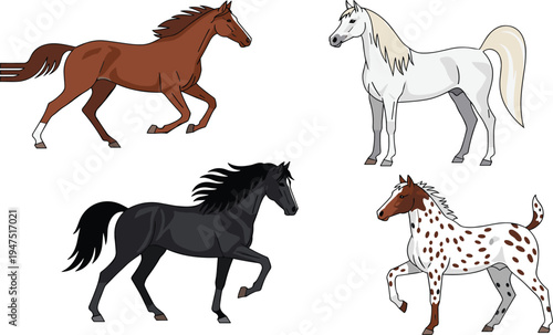 Elegant Horse Illustration Set with Different Breeds and Colors for Animal, Equestrian, and Wildlife Design Projects