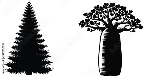 Coniferous pine tree and baobab silhouette vector illustration, diverse nature artwork design, forest jungle ecosystem theme, black and white decorative art set