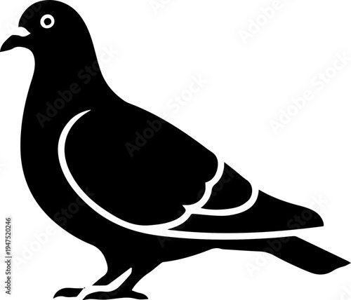 silhouette of a pigeon
