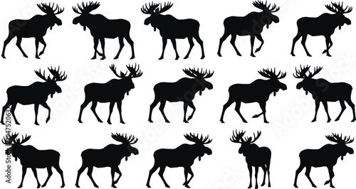 Moose silhouette vector illustration, wildlife animal artwork collection, antler posture variations design, forest nature themed art, black and white decorative artwork set
