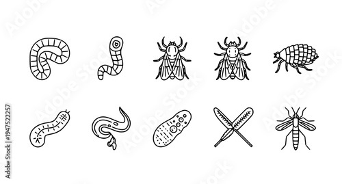 A set of black and white line art illustrations of various insects and parasites, including worms, fleas, and bacteria.