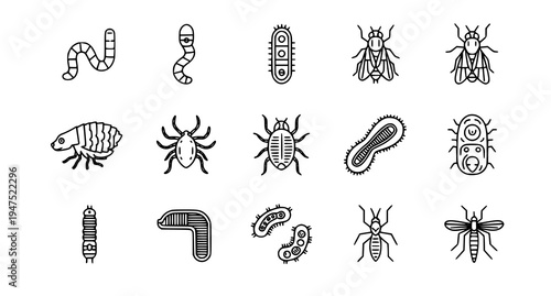 A set of black and white line art illustrations of various insects and microorganisms